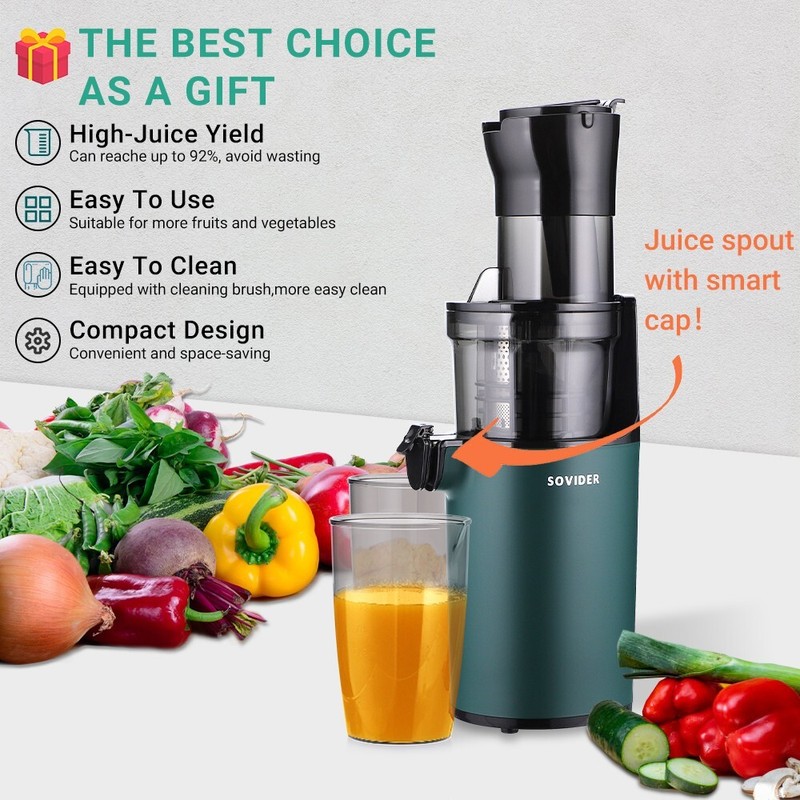 Slow Juicer Machine Masticating Cold Press Juicers Squeezer Vegetable Processor gallery