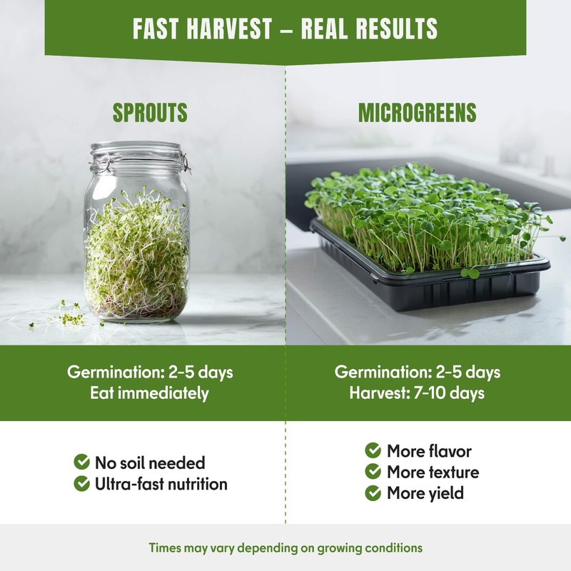 Microgreens Sprouting Seeds Mix, 5 Varieties, Non-GMO Heirloom, 5050+ Seeds gallery