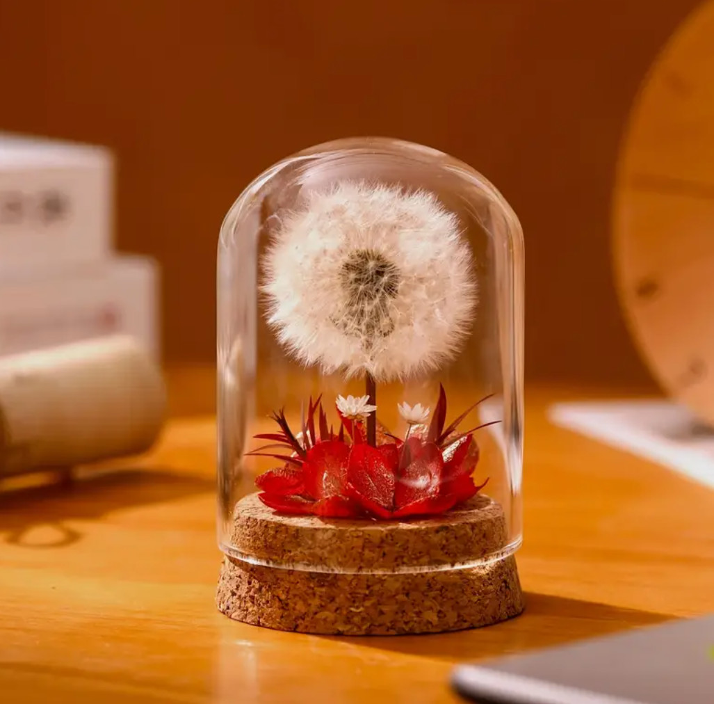 🌼 Eternal Dandelion Wish | Giant Preserved Natural Bloom✨🌿 Mother's Day gallery