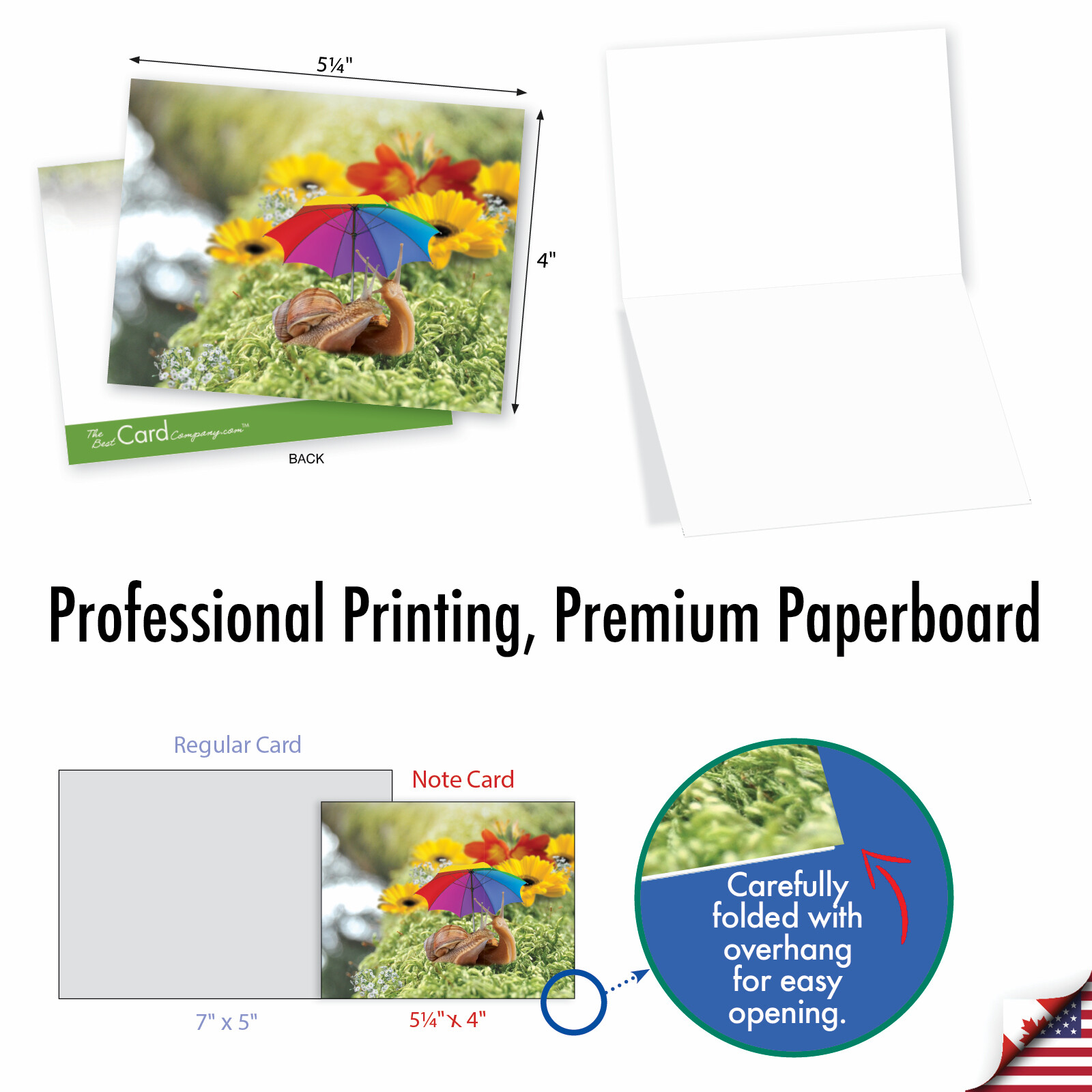 10 Assorted All Occasion Blank Note Cards - A SNAIL'S PACE M2349OCB gallery