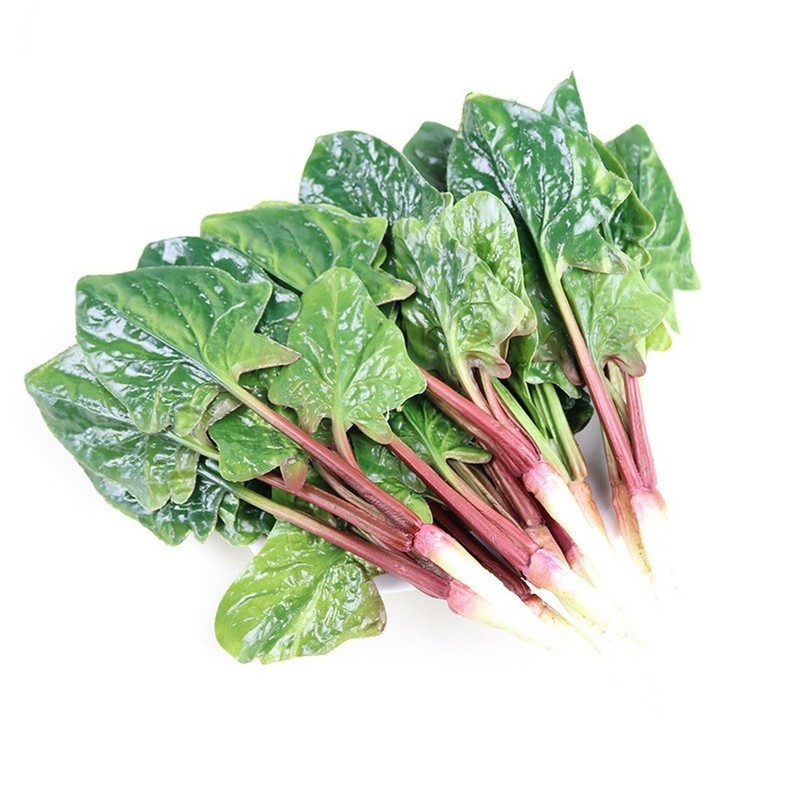 Decorative Spinach Piece for Spring Summer Fall Winter Interior Accents gallery