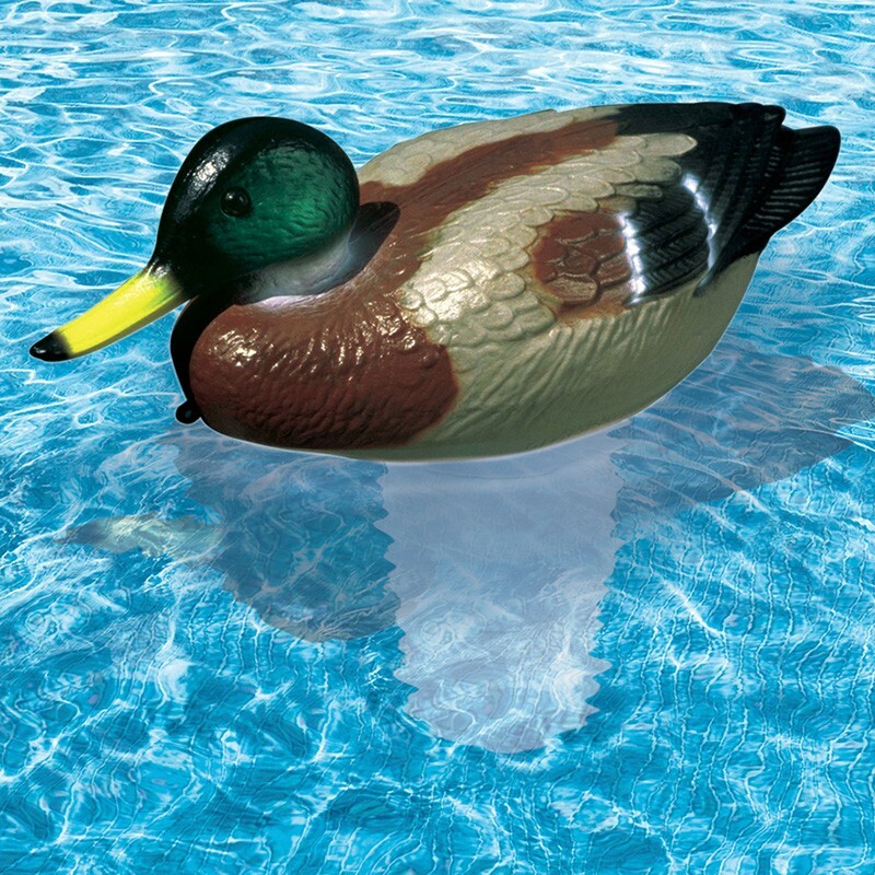 Poolmaster 3213 Mallard Chlori-Duck Floating 3" Tablet Dispenser Swimming Pools gallery