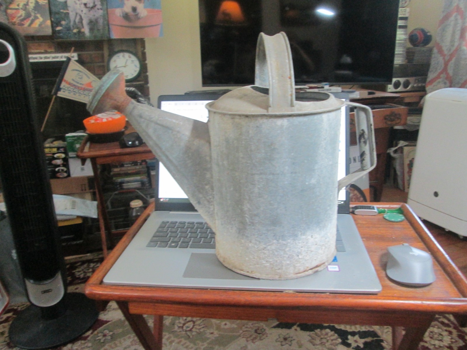 Vintage Galvanized Watering Can With Sprinkler Head 9 1/2” Gardening Cottagecore gallery