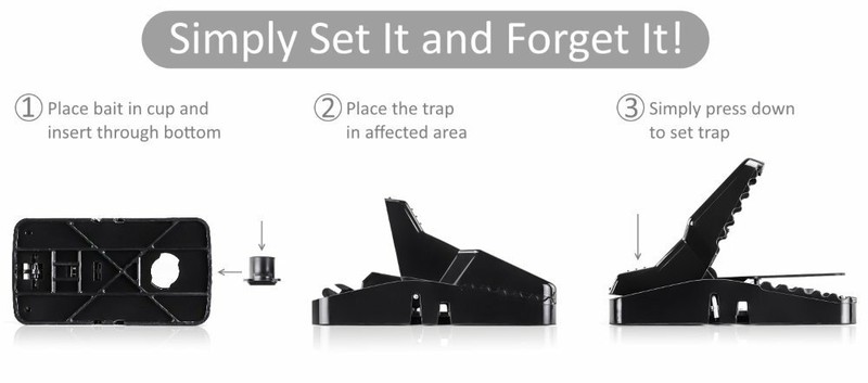 Large Powerful Rat Traps (24 Pack) - Kills Instantly with Powerful Steel Spring gallery