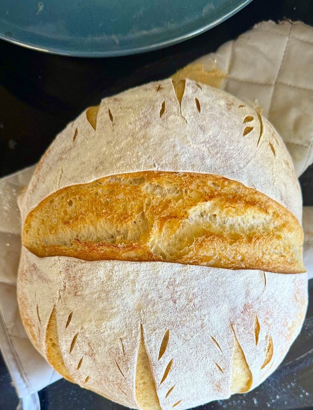 BEGINNER Sourdough Starter Verified Live San Francisco - 221yr Old TOP SELLER! gallery
