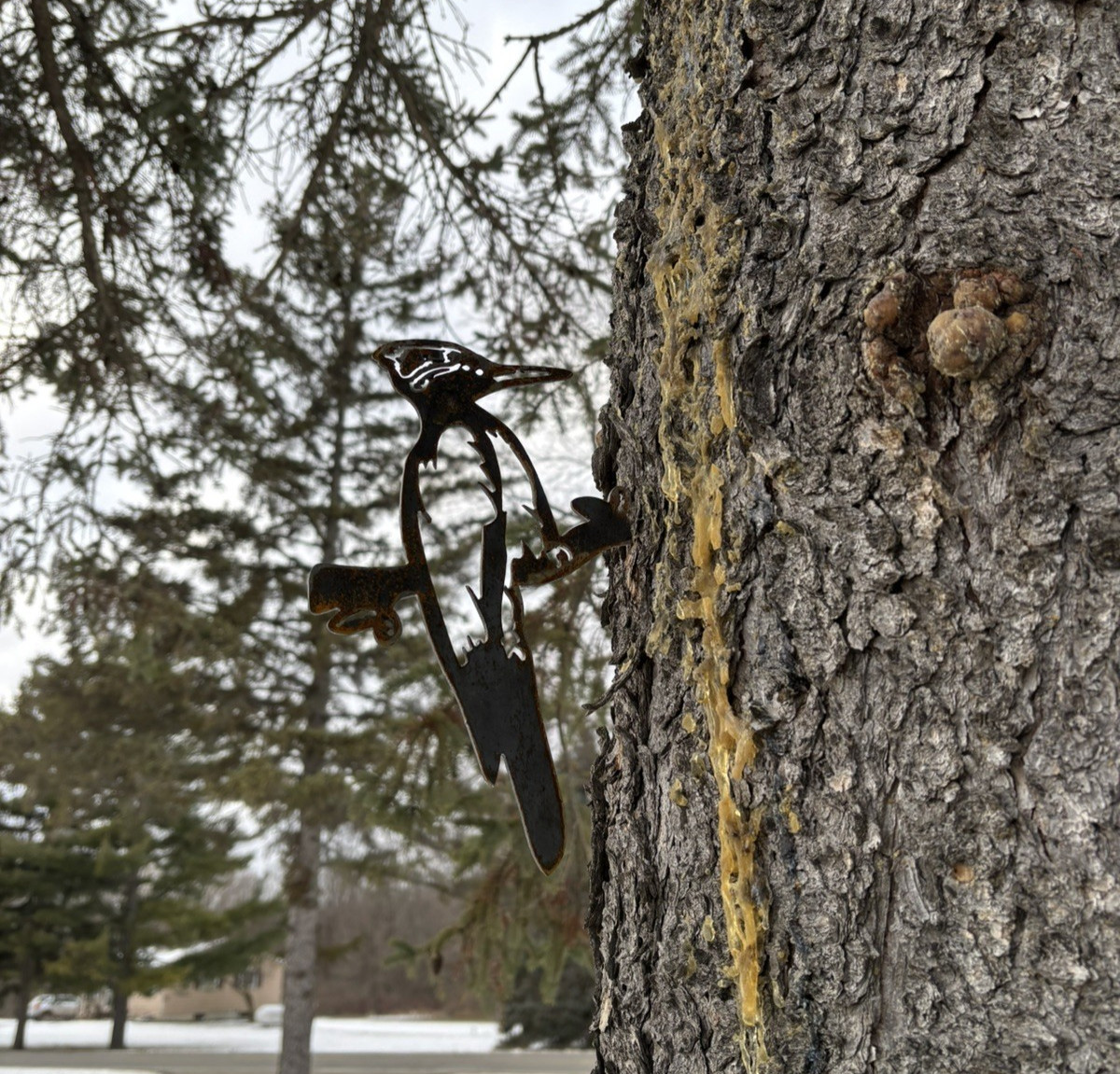 Metal Wood Pecker Tree Stake gallery