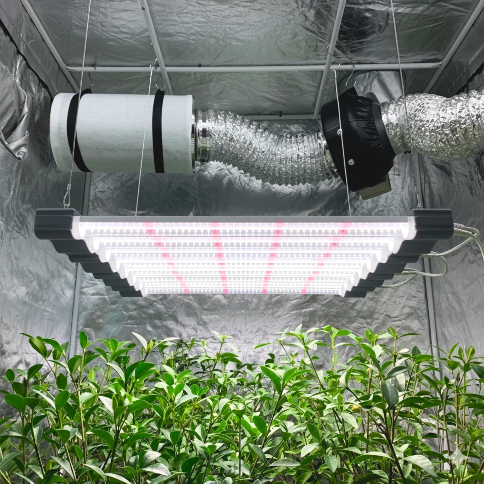 LED Grow Light Full Spectrum Linkable Seedling Veg Hydroponic Grow Lamp gallery