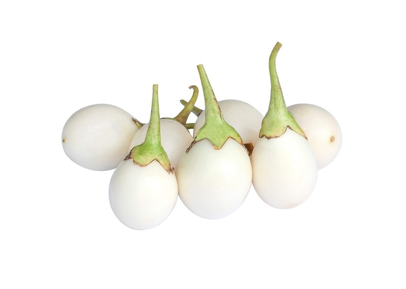 30 EASTER EGG PLANT Ornamental Easter Eggplant / Nest Egg Solanum Ovigerum Seeds gallery