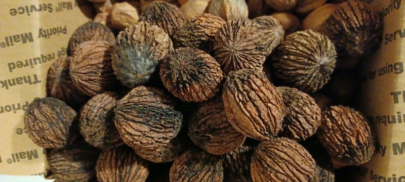 Black Walnuts 20 Lbs hulled, in shell fresh harvest 2025, GA Non GMO ORGANIC gallery