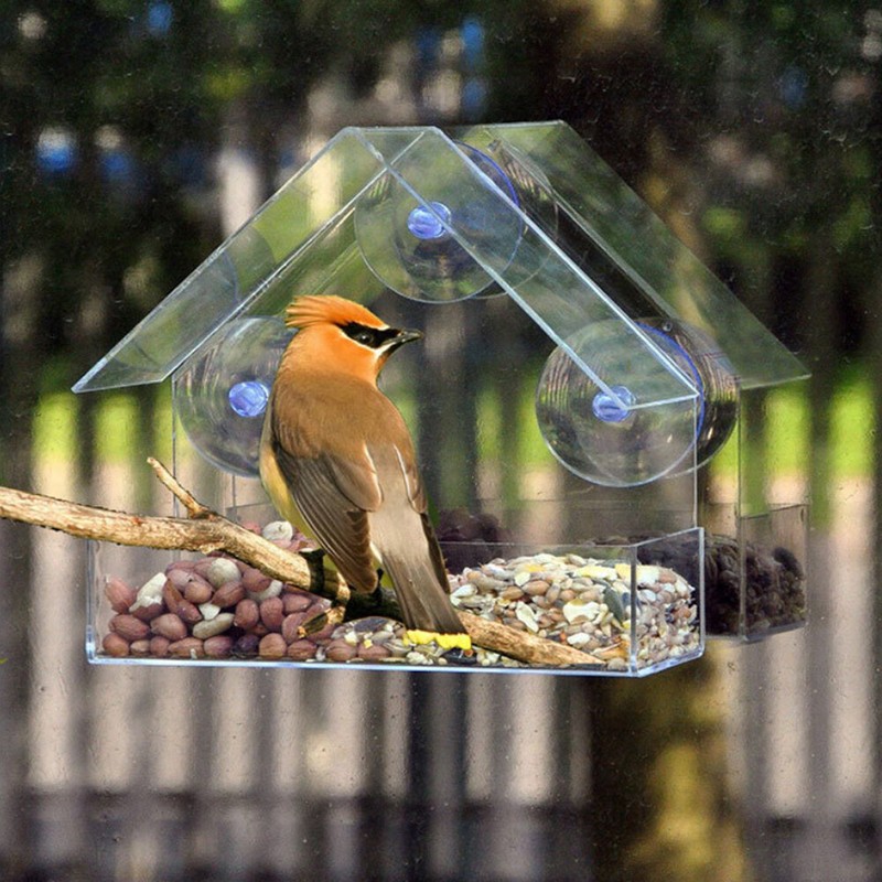 Clear Window Bird Feeder Strong Suction Cups Wild Bird Watching Seed Feeder gallery