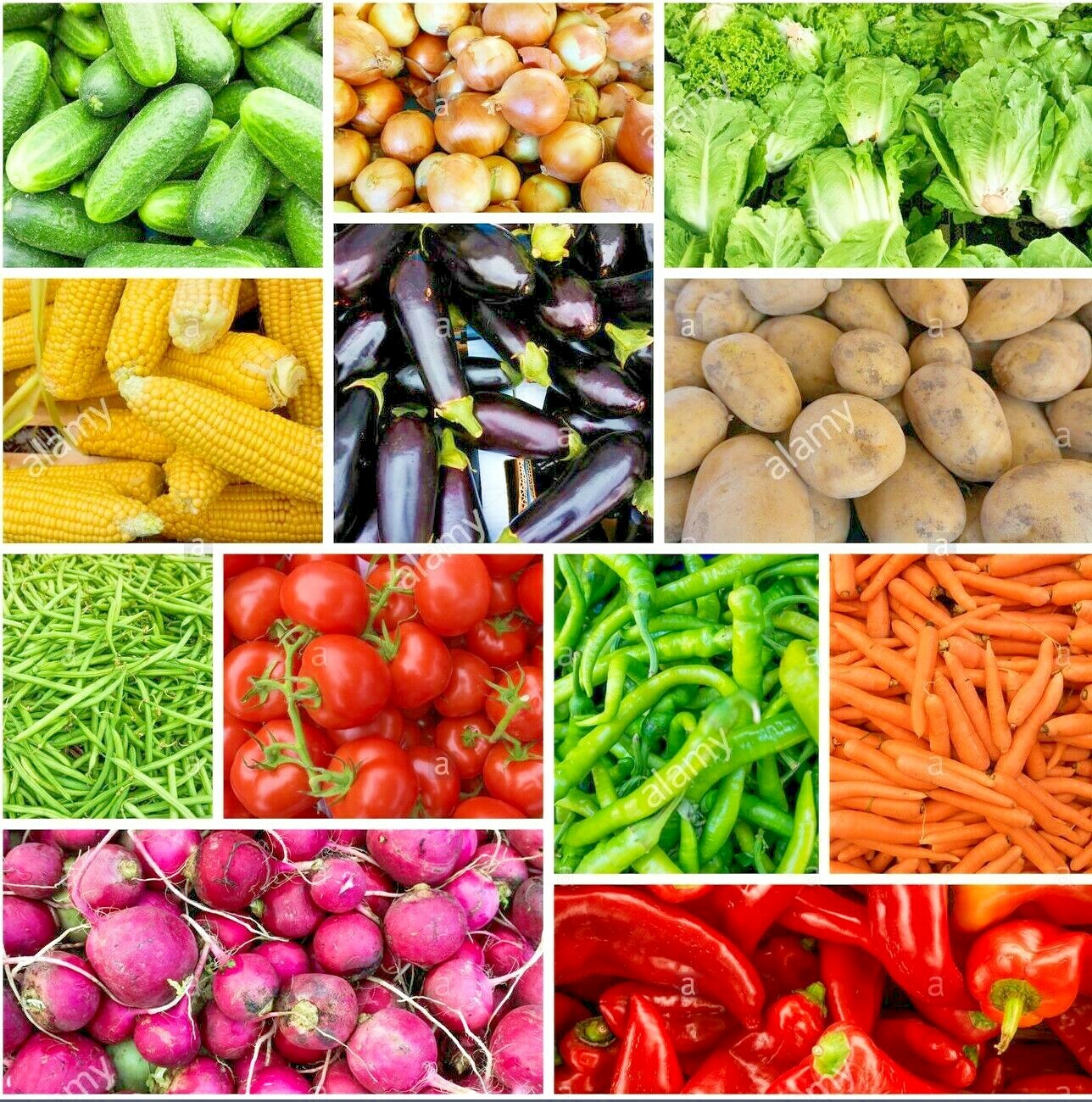 #10 Heirloom Vegetable Seeds 6 Variety Garden Set Emergency Survival NON-GMO gallery