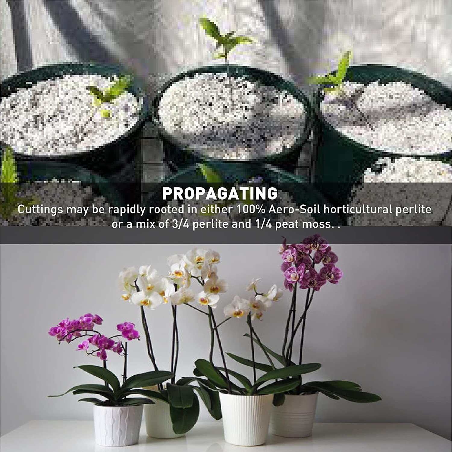 AeroSoil Perlite Horticultural Soil Additive – Seed Starter - Coarse 4 CF gallery