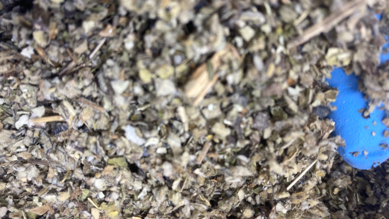 Peppermint Lobelia Coltsfoot Mullein - Organic Bulk Herbal Mixture 1 2 4 8 ounce gallery