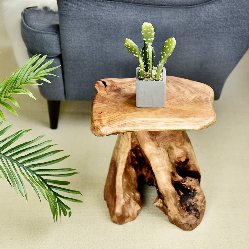 Tree Stump Stool Live Edge, Natural Edge Side Table, Plant Stand, Nightstand gallery