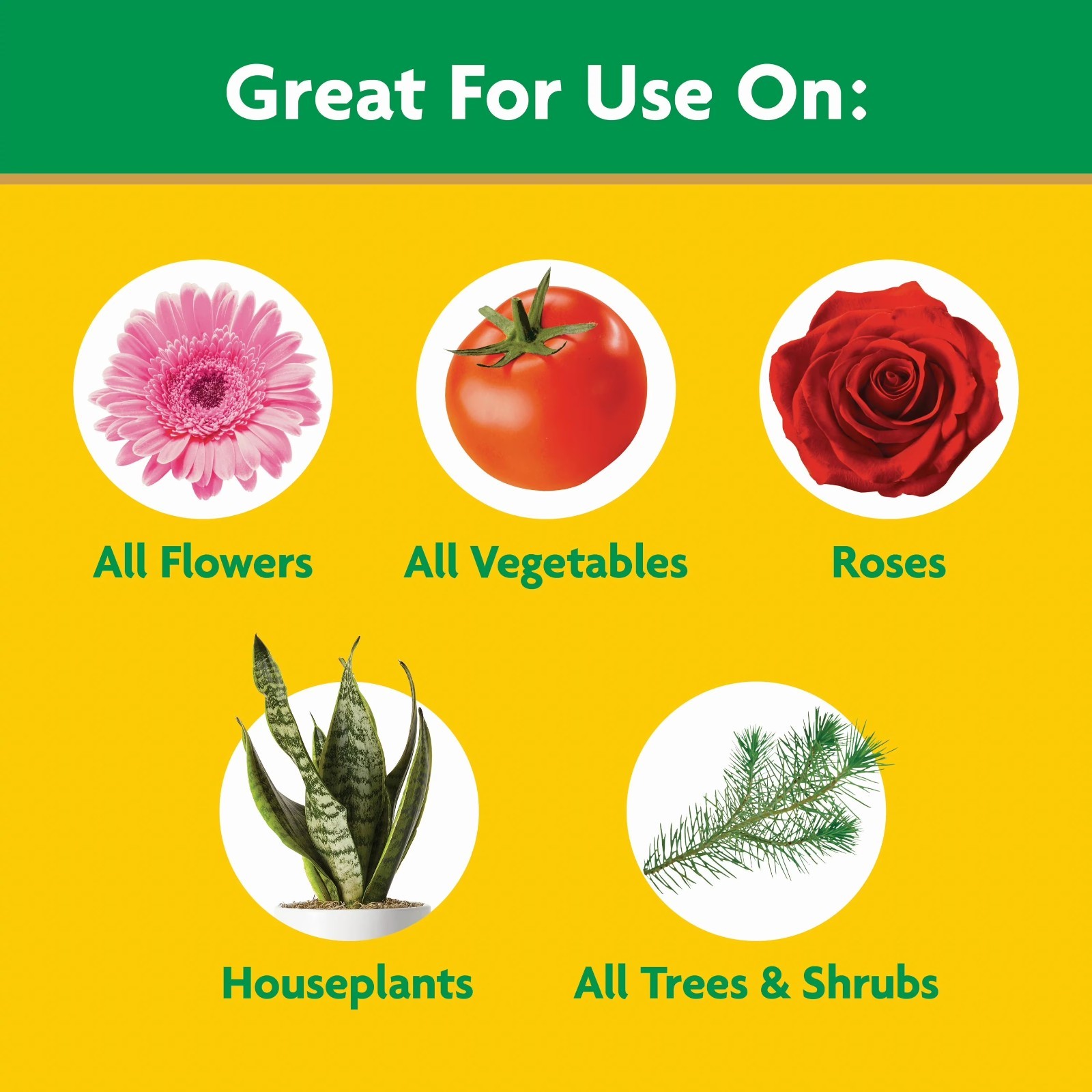 Miracle Gro Water Soluble All Purpose Plant Food for All Indoor or Outdoor Plan gallery