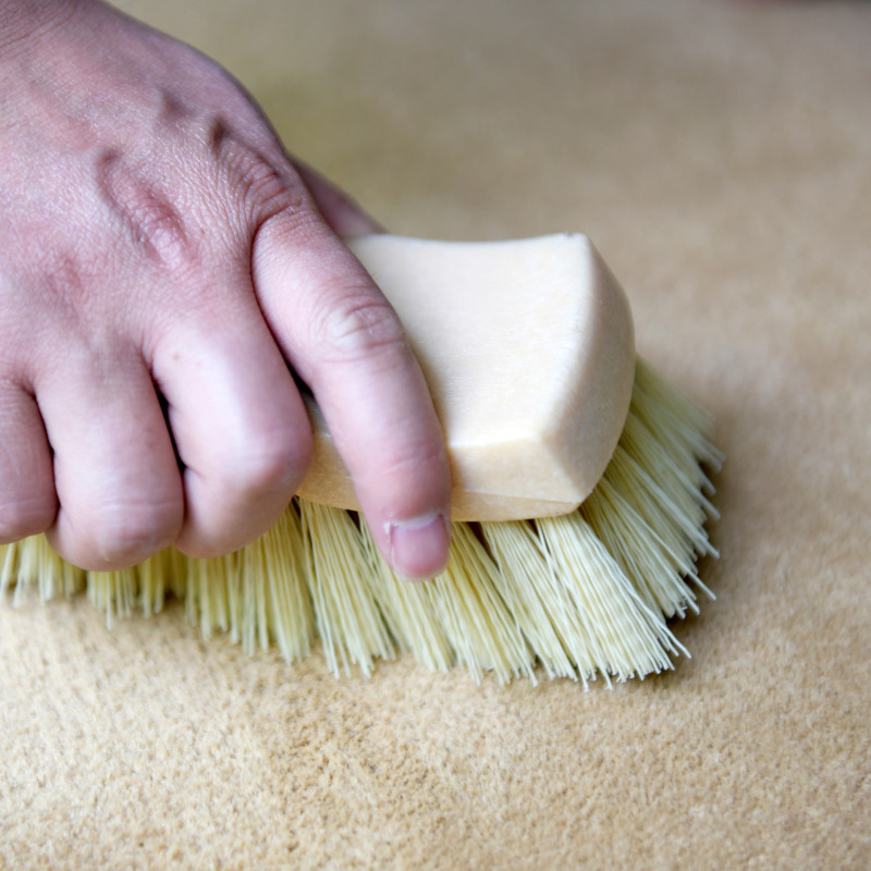 CarCarez Carpet, Vinyle, Floor Mats, Upholstery Scrub Brush gallery