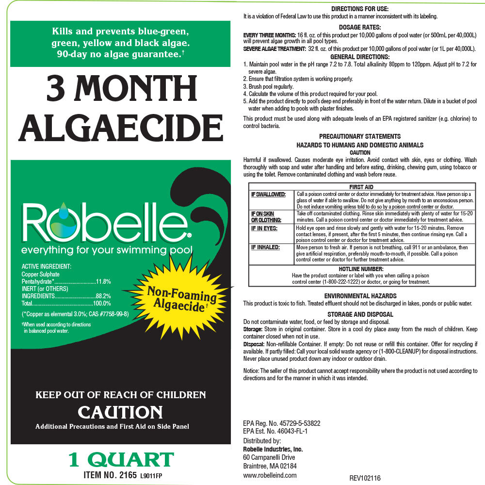 Robelle 3 Month Algaecide Pool Metallic Non-Foaming Algae Control - 4 Quarts gallery