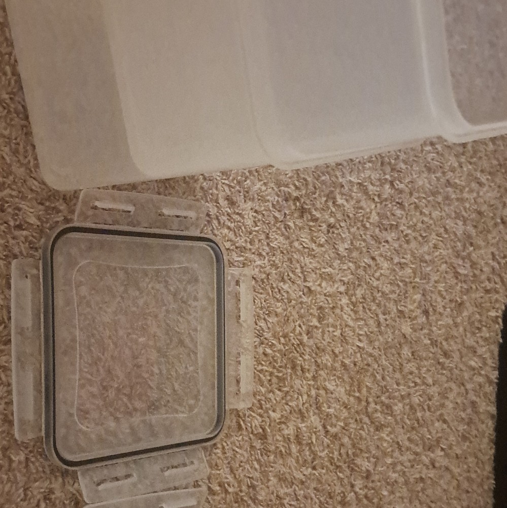 Clear Plastic Rectangular Storage Container Set, 2 Pack, Snap Lids, Stackable