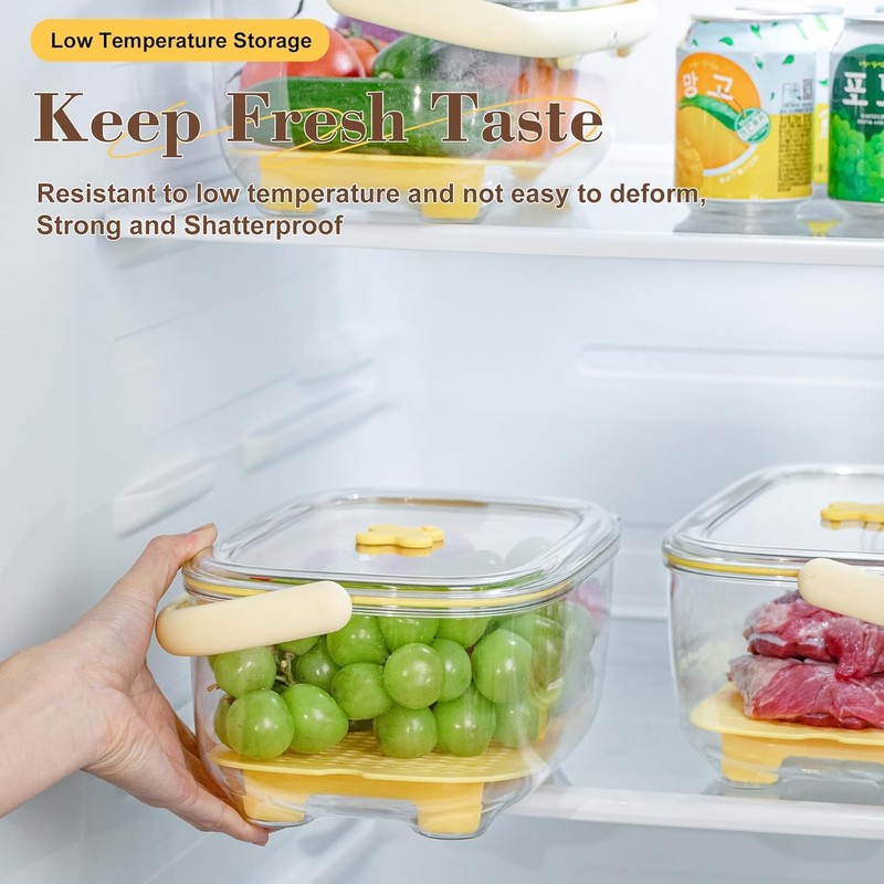 Fruit and Vegetable Storage Container with ice Pack, Fruit Vegetable Fresh Box gallery