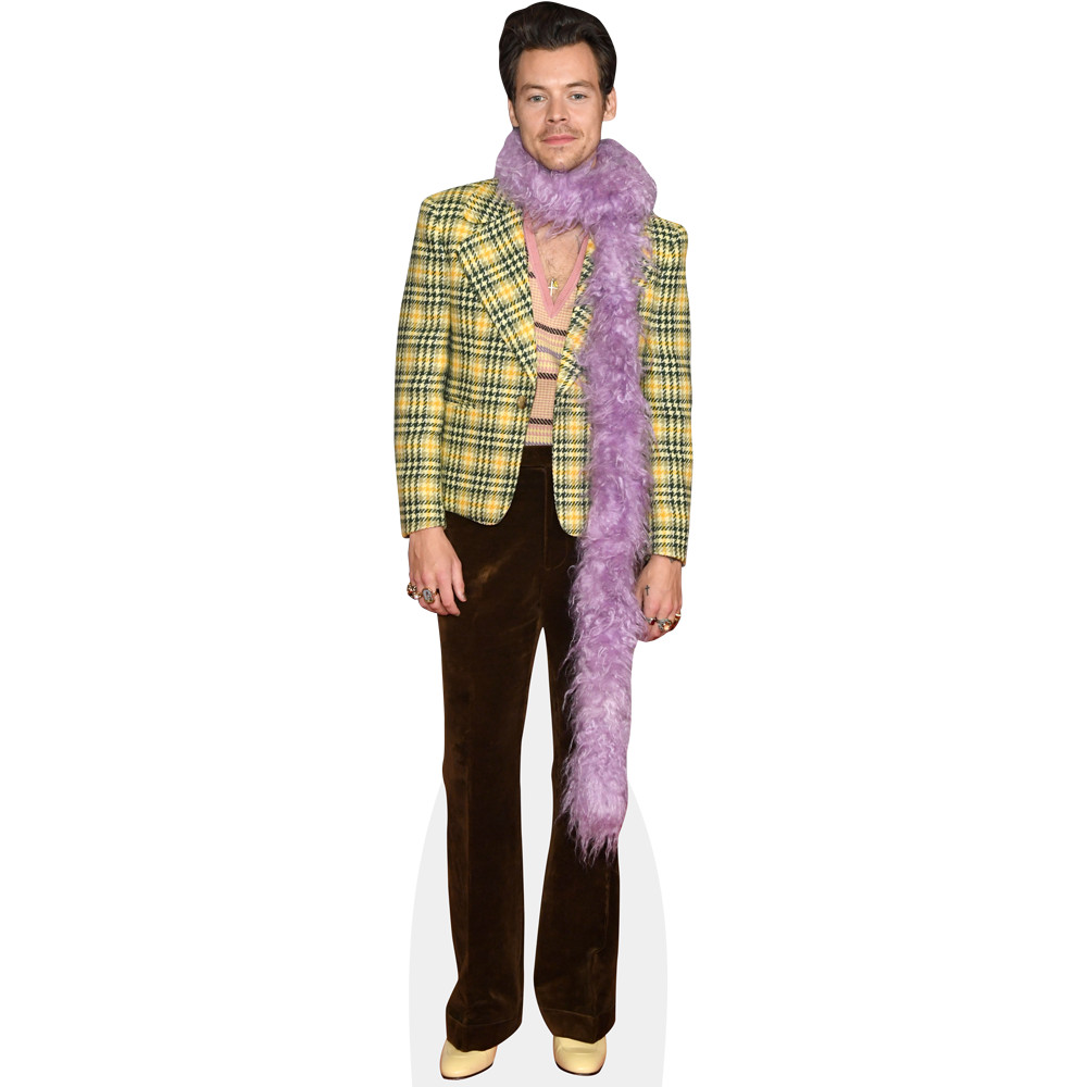 Harry E. Styles (Feather Boa) Life Size Cutout gallery