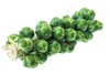 Long Island Improved Brussels Sprouts: 75 Seeds gallery