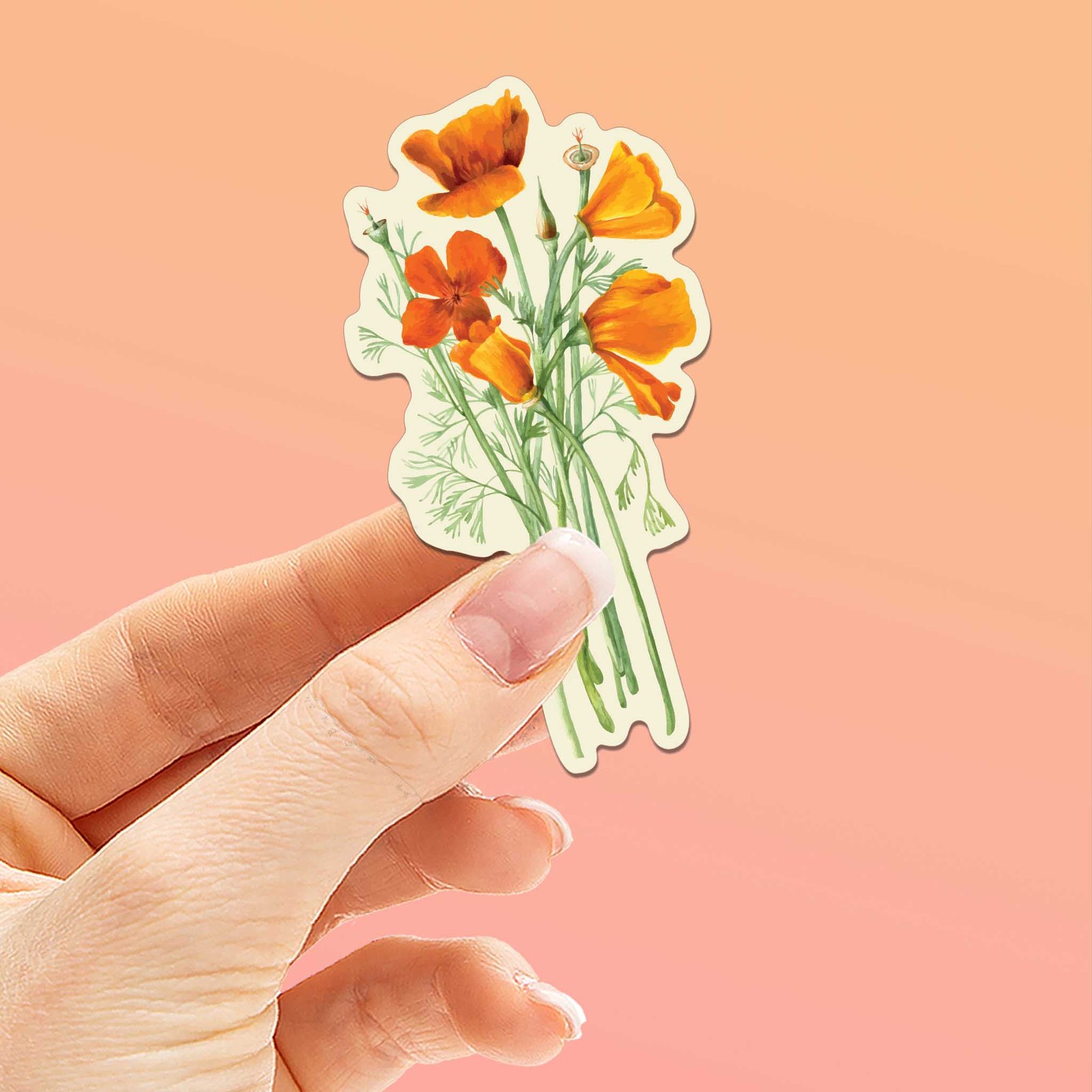 Mini California Poppy Sticker gallery