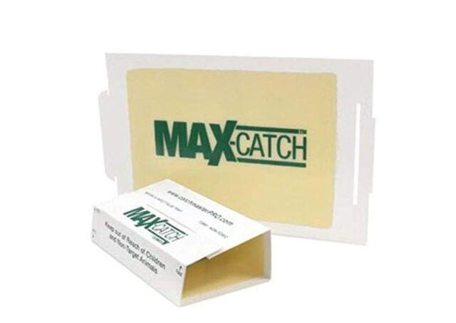 Catchmaster 72Max Glue Board Mouse Insects Trap 36 Count AP&G gallery