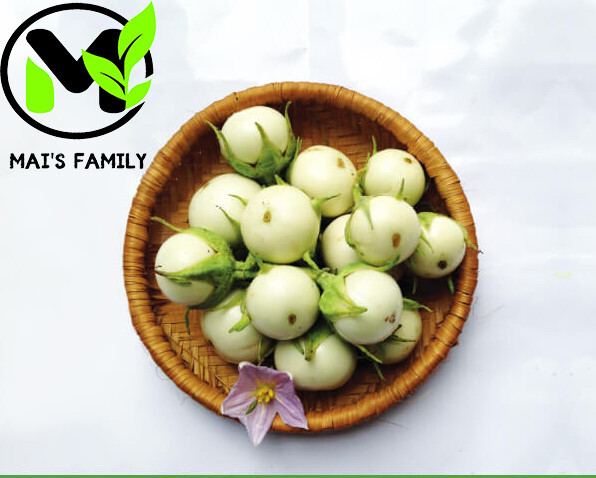 WHITE ROUND EGGPLANT SEEDS, CÀ PHÁO TRẮNG, 茄子,berenjena 90% GERMINATION gallery