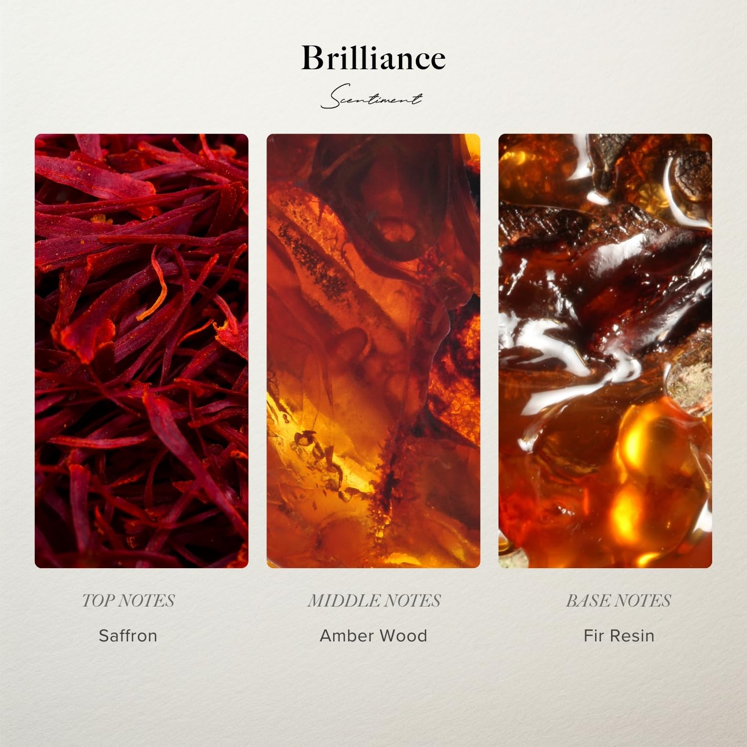 Diffuser Oil Sample Set – 3 Pack Royalty, Brilliance, Santal, Pineapple – Saf... gallery