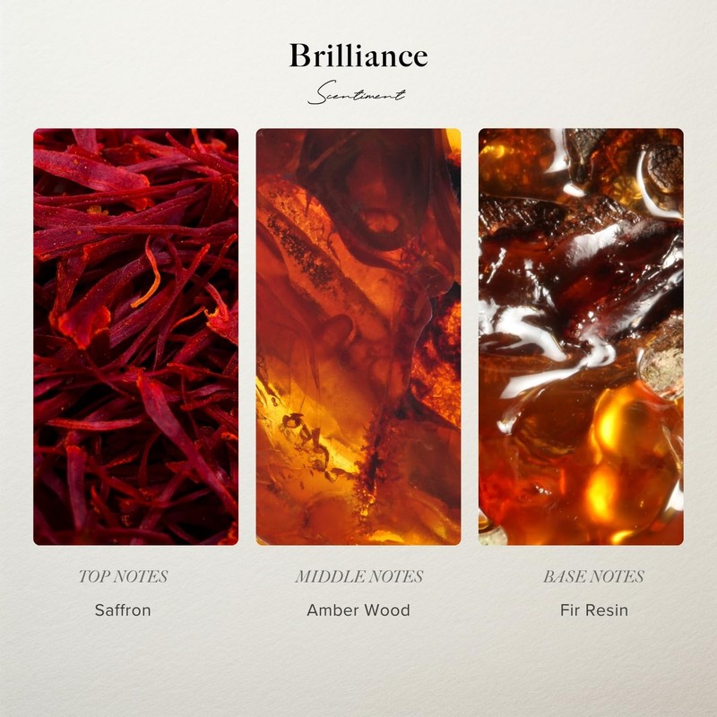 Diffuser Oil Sample Set – 3 Pack Royalty, Brilliance, Santal, Pineapple – Saf... gallery