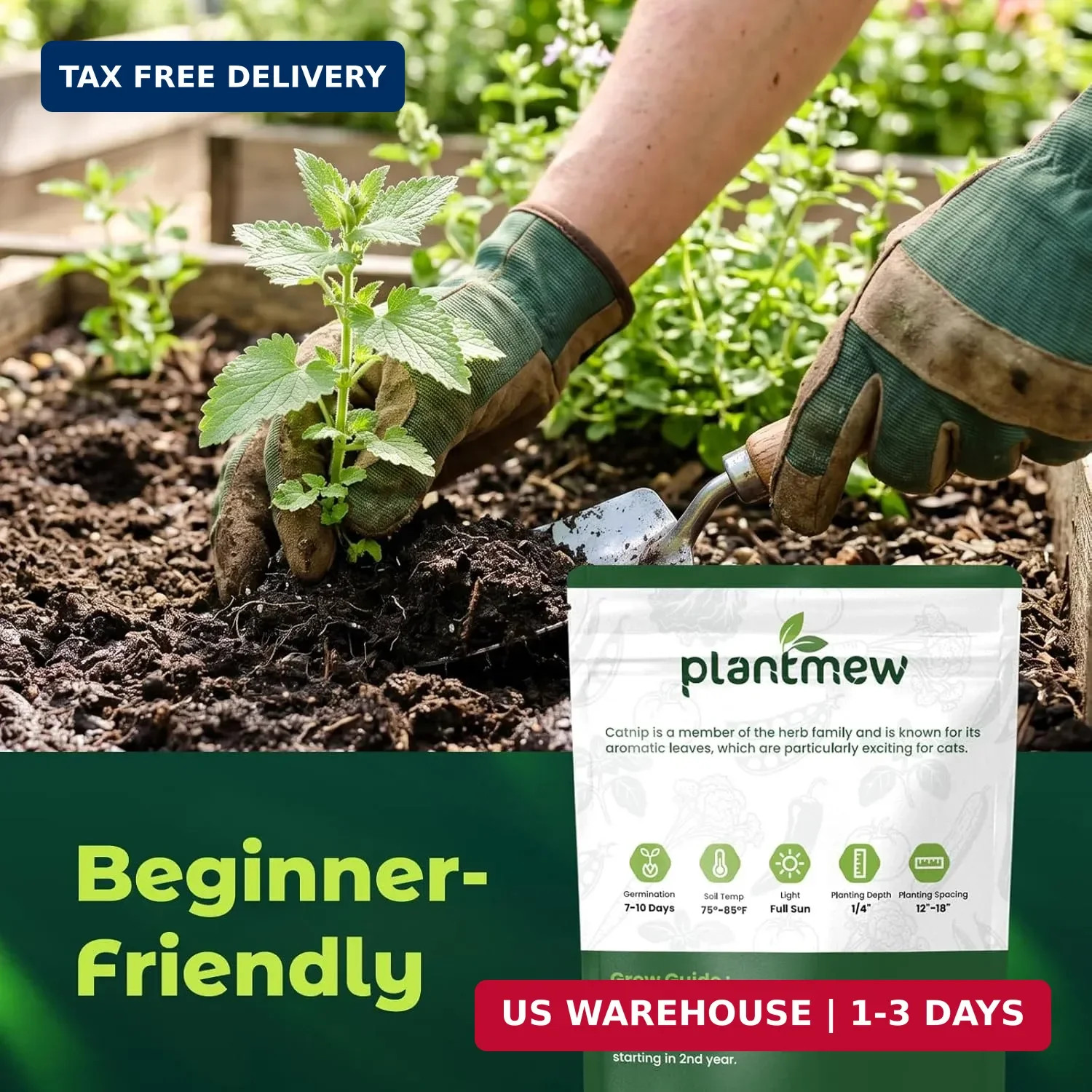 2300 Catnip Seeds for Planting Indoors & Outdoors - Premium Non-GMO Herb Cat Nip gallery