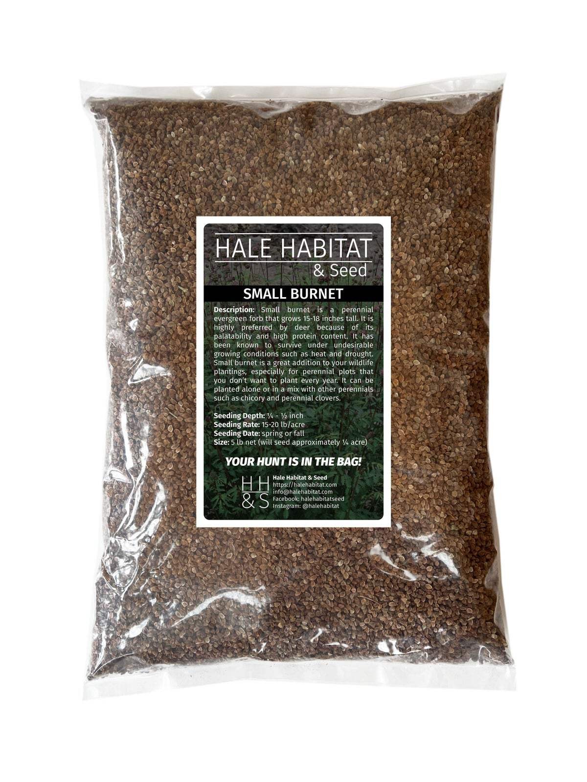 Small Burnet Seed | Perennial Drought Tolerant Deer Wildlife Food Plot Habitat gallery