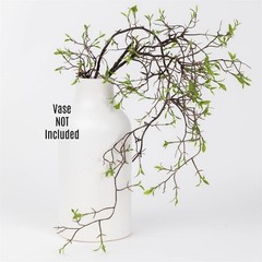 New Rustic EARLY SPRING GREENERY TWIG BRANCH Hanging Tear Drop Vine Stem Bush