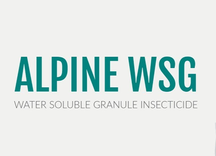 5 Packets Alpine WSG Water Soluble Granule Insecticide Kill Ant roach etc gallery