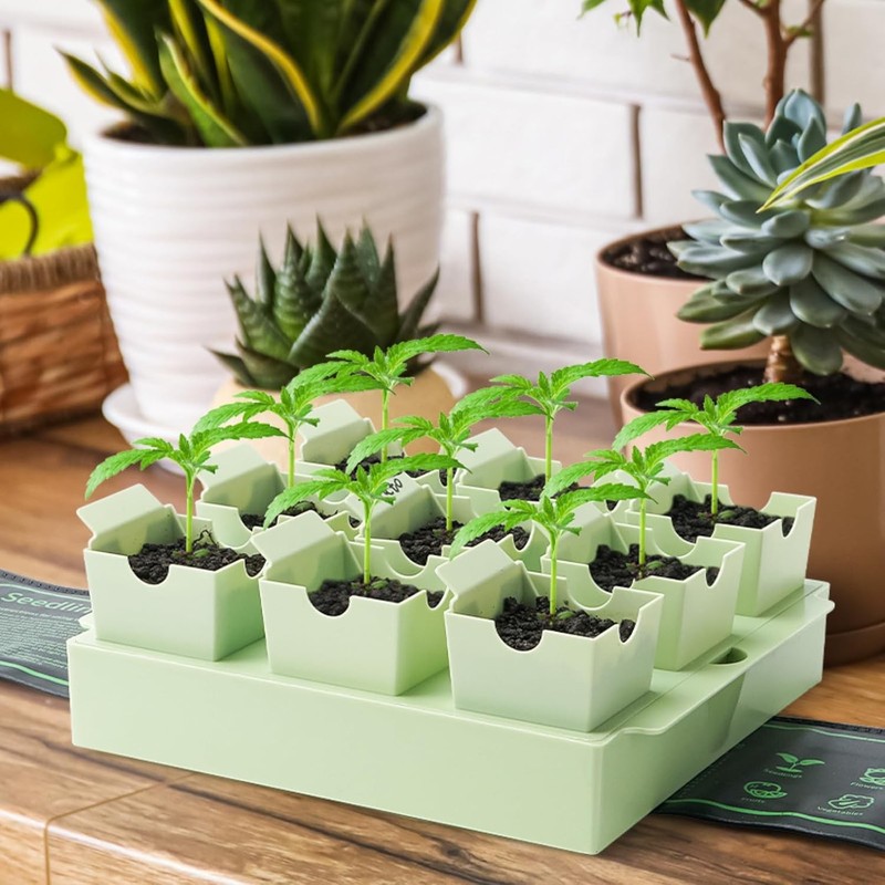 Seed Starter Tray, Extra-Thick Reusable Germination Kit,9 Deep 2.3 in Cells gallery