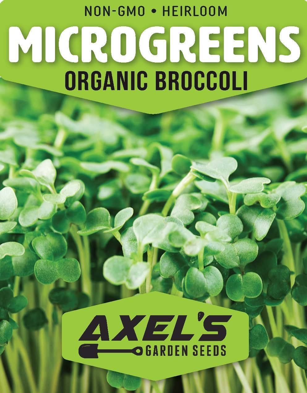 Organic Broccoli MICROGREEN Seeds | Heirloom Non GMO Sprouting Seeds gallery