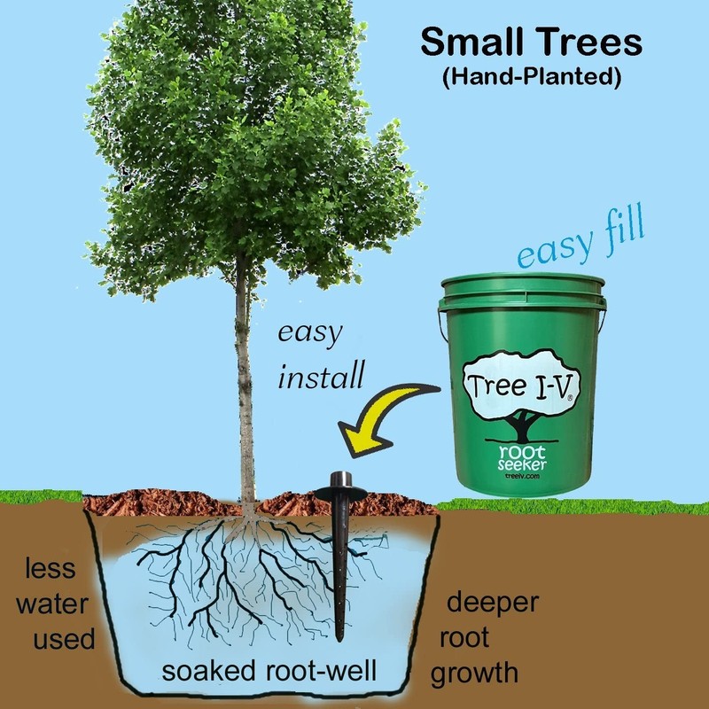 Time-Saving Tree I-V Root Feeder System | Efficient 5-Gallon Watering Solution gallery