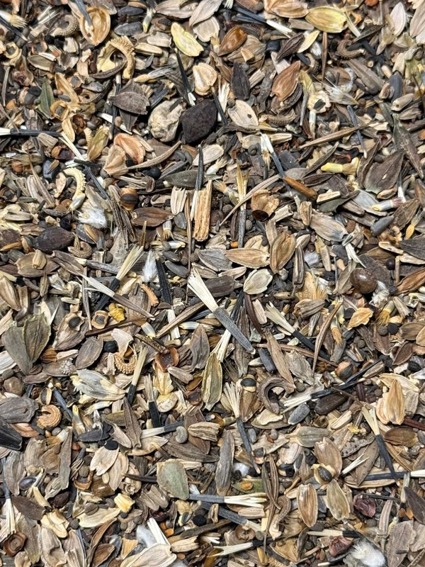 Landscaper's Pack EVERYTHING Wildflower Mix: Heirloom Non-GMO 5000+ Seeds! gallery
