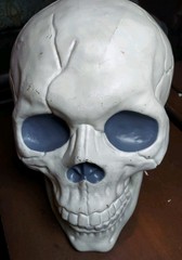 Large Skull By Hyde & Eek Boutique W/ Hinged Jaw Indoor/ Outdoor NWT – 10” Tall