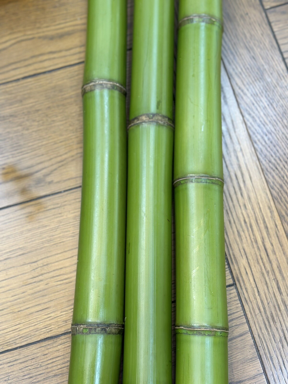 1” Fresh Cut Natural Bamboo For Decor (You Choose Length) 1ft - 8ft gallery