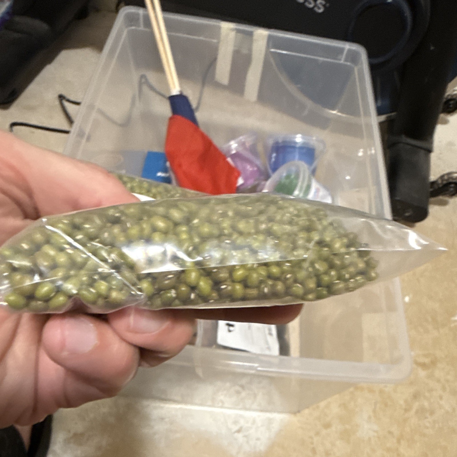 Mung Bean 10 oz Bag - Pantry Bean & Pulse, Product Name Mung Bean, MPN 30354 gallery