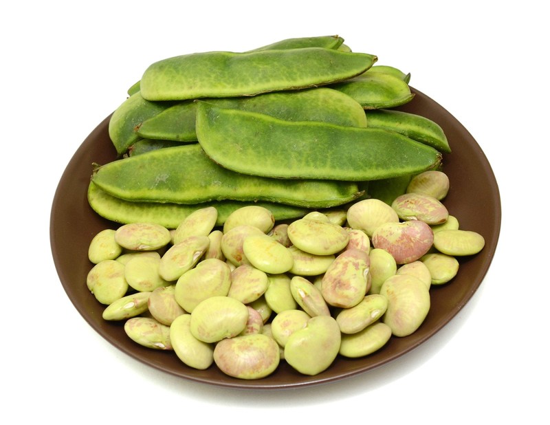 50 WHITE DIXIE LIMA BEAN Butterpea Phaseolus Vulgaris Vegetable Seeds *Comb S/H gallery