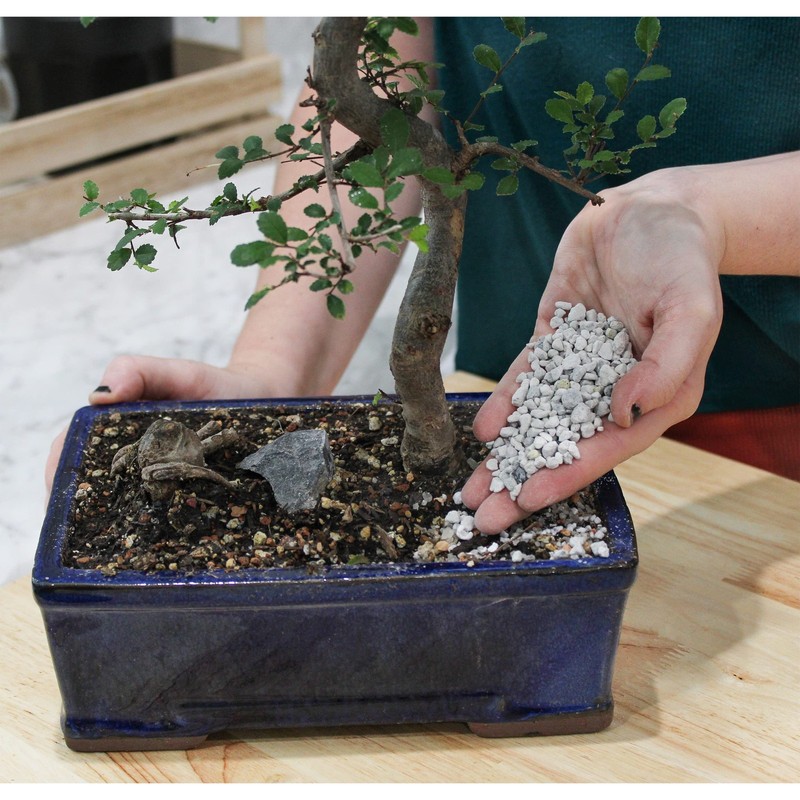 Bonsai Pumice Soil Amendment (2 LB), Supplement for 2 Pounds gallery