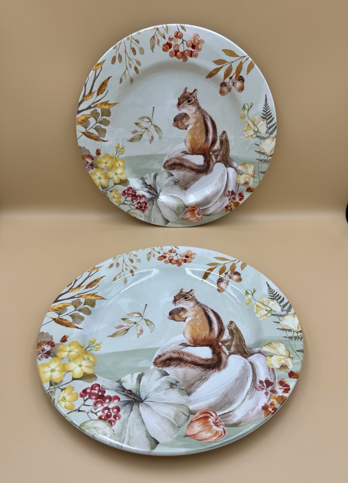 Set Of 2 Chipmunk Plates 11” Heavy Plastic gallery