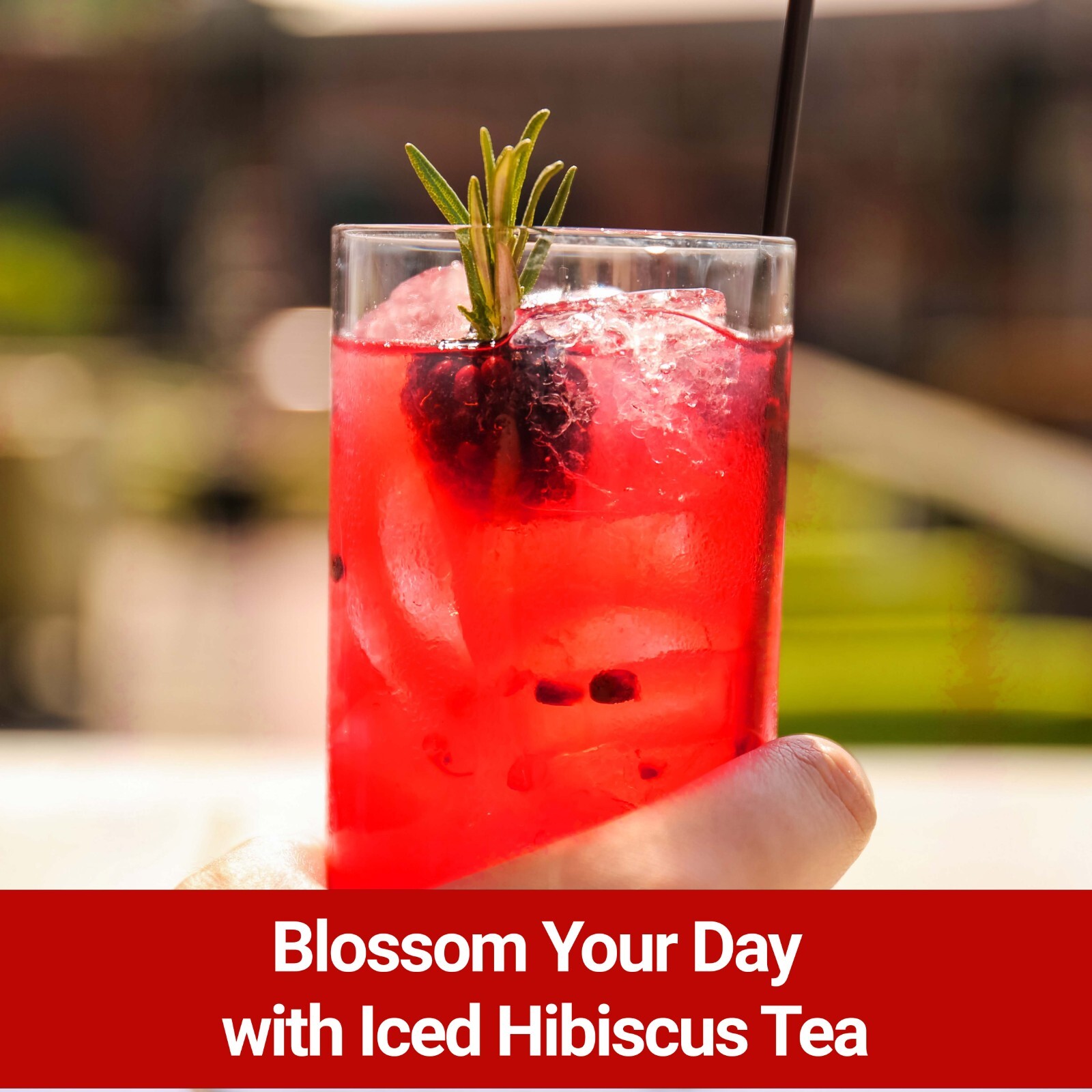 Dried Hibiscus Flower Tea,Hibiscus Tea Blend for Iced Tea,Agua de Jamaica 75bags gallery