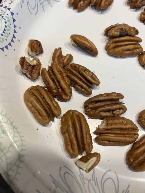 10 Lbs. 2025-2026 Squirrel Grade Pecans In The Shell, Not For Human Consumption gallery