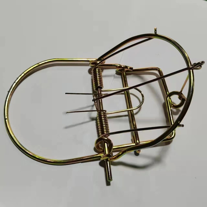 2Pcs Small Animal Catch Traps Mouse Trap Spring Trapt Rodent Cage Suit for Rat gallery