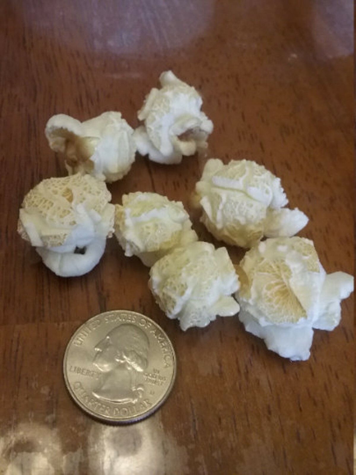 100 Mushroom Kernels popcorn seeds gallery
