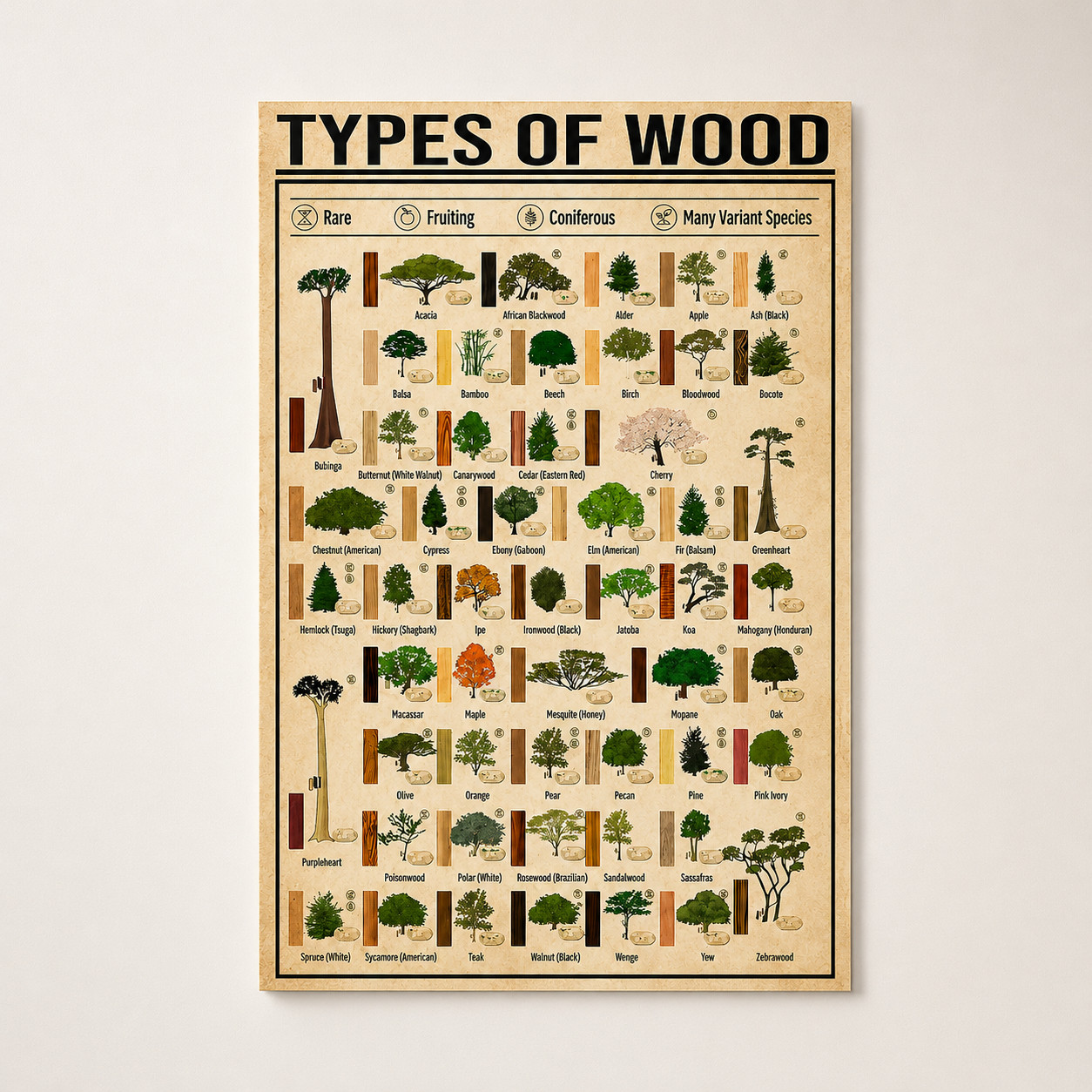 Types of Wood Identification Chart Vintage Poster Wall Decor | Multiple Sizes gallery