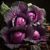 100+ Mammoth Red Rock Cabbage Seeds - 100% Heirloom - Non-GMO - Open Pollinating gallery